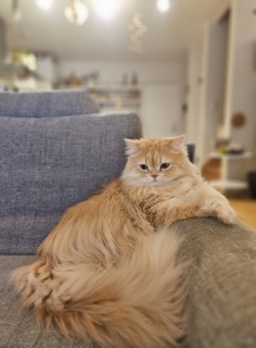 ���ʂĂ��A�l