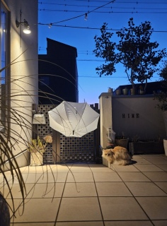 �����̒�