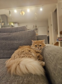 �e�f�B����񂨖�