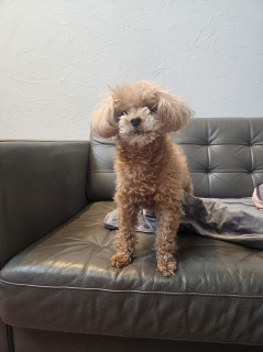 �����m�F���Ă���