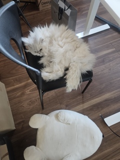 ������́A����̔L