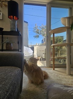 ��Ԃ��Ȃ��Ƃȁ[