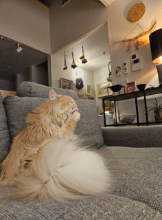 �����_��