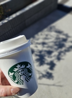 �e�C�N�A�E�g��