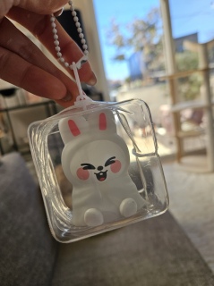 �o�b�N�ɕt����