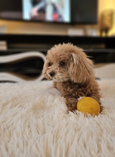 �N���N���ǂ�����