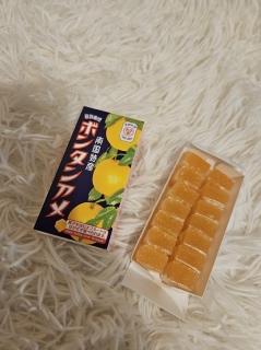 �{���^���A��