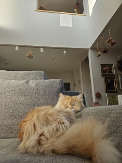 ���āA�d�r�؂ꂽ����