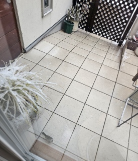 �쒹�����