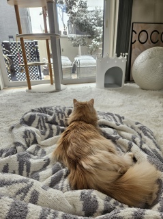 ����ƁA���񂾂�[