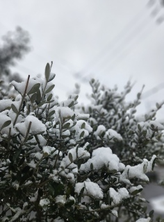 �Ȃ񂩁A����