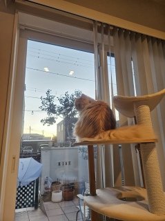 �⃁�_���A���߂łƂ�