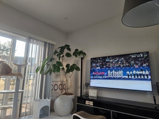 �c�̂���̌l