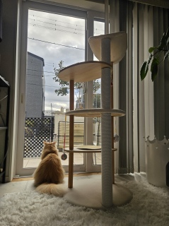 �����A�����Ȃ��H