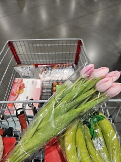 �R�X�g�R�s���Ă����[