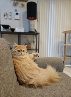 �}�}�A�撣���Ăɂ�