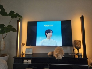 �ق�ƂɁA�Z��������