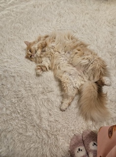 �ЂƋx�e������