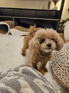 �ǁ[���A���A�e�f�B�����ł�