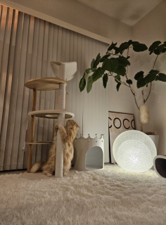 �܂Ƃ����������Ȃ̂�