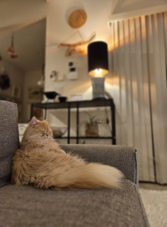 ����ƁA�܂�����