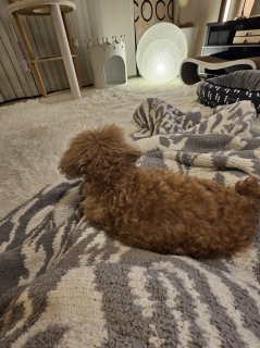 ��������A�����