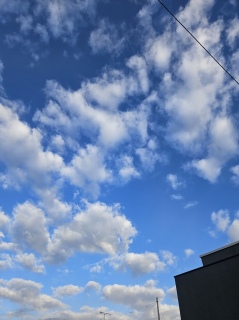 �����̋�