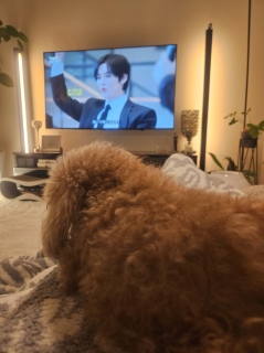 �܂�����