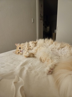 ��������ɂ�[