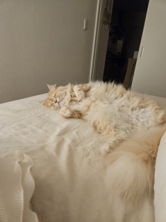 �߂��Ⴍ����A���Ƃ�