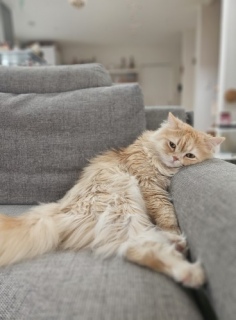 ���q�Ԃ��Ƃ�l