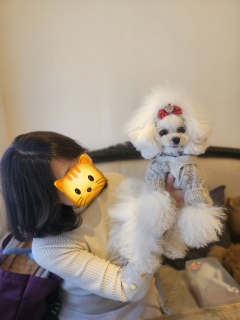 ���q�����ɉ�܂���