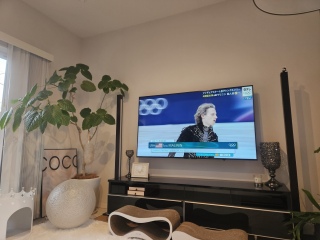 �S����������o����