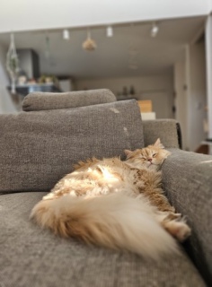 �܂�����s���N