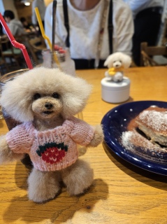 �`�r�`�r�P�����