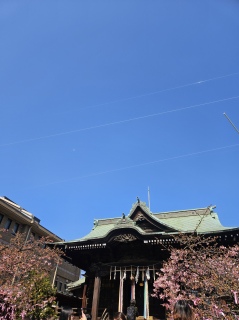 �O������I��