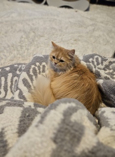 �܂�����