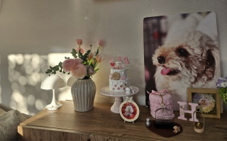 �P����R�[�i�[�̒��̎��Ԃ��D��