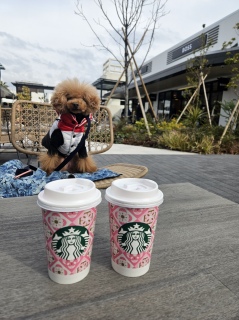 Birthday boy������Ă���