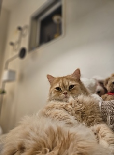 �������A��ꂽ�ȁ[