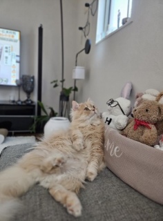 2��22���ɂ��ɂ��ɂ��