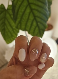 �l�C����