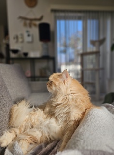 ���V������