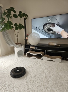 �܂��́A���|�����܂���