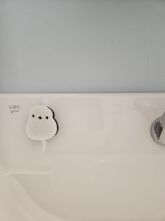 ���ʑ�̃X�|���W