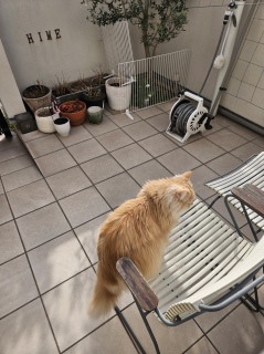 �l�͖����J�\�񂾂�