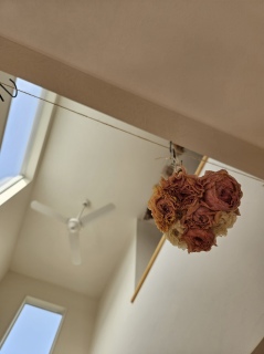 �h���C�t�����[