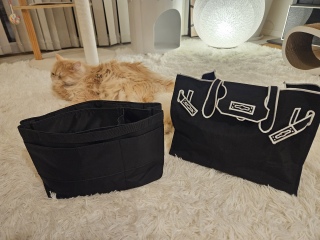 �o�b�N�C���o�b�N