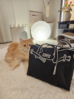 �`�o�b�`��