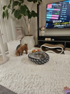 ���������[��